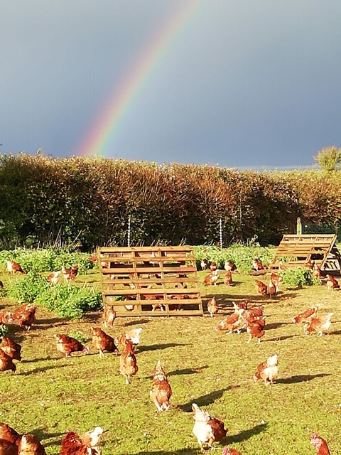 layers on the field with rainbow