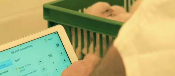 adminitration quality